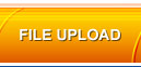 File Upload